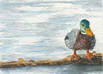 "Waiting For Mrs. Mallard" by Anne Irish, Middleton WI  - Watercolor